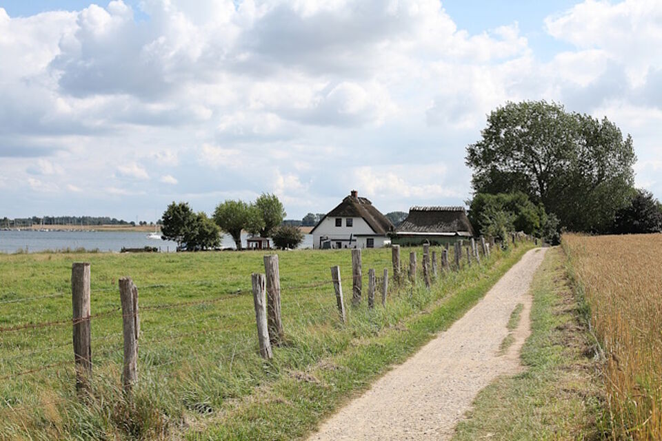 Landschaftsbild in der Schleiregion